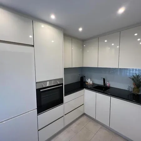 Stylish 1-bedroom Close To Exhibition Square Appartamento Basilea
